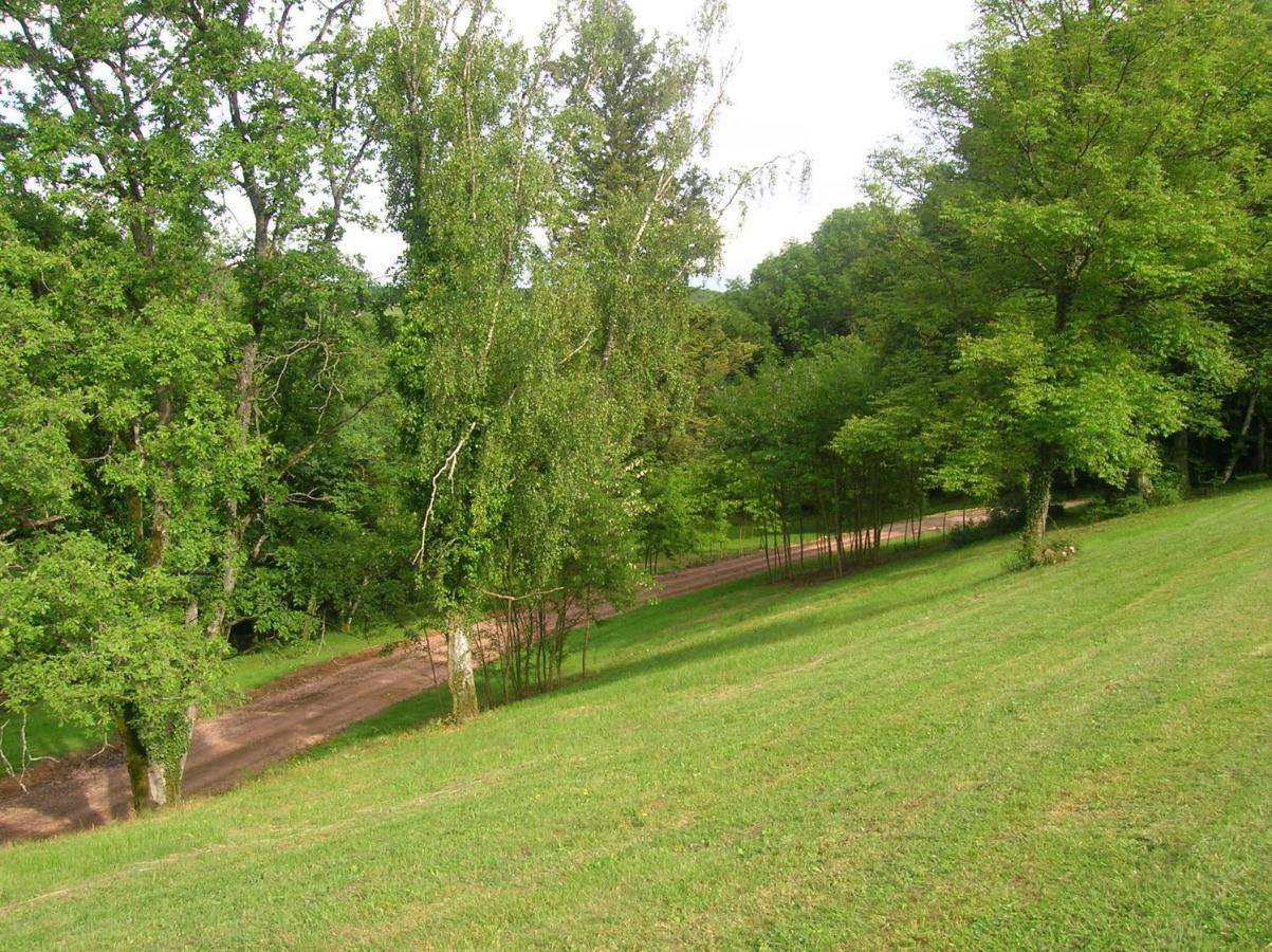 Le Domaine De Rochefort Dissangis Εξωτερικό φωτογραφία